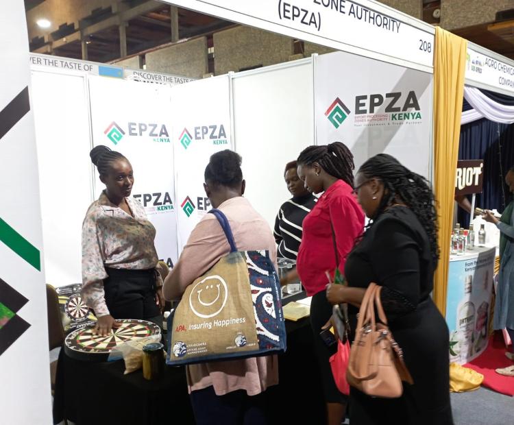 The EPZ Program
